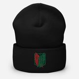 AOT PALESTINE Beanie