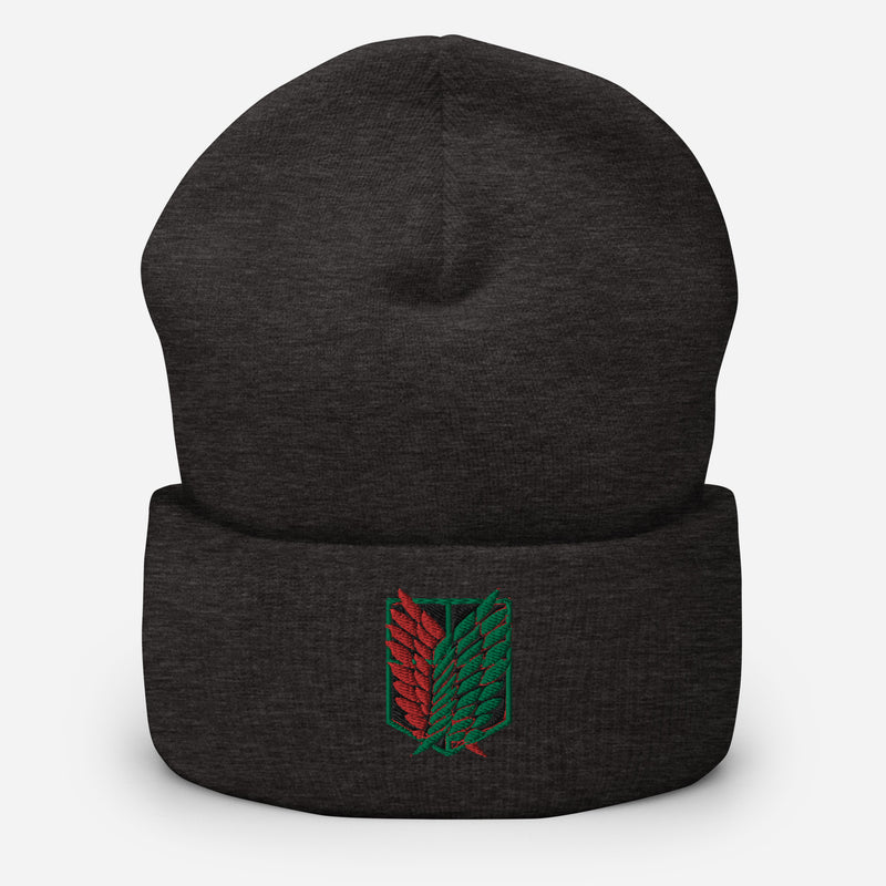 AOT PALESTINE Beanie