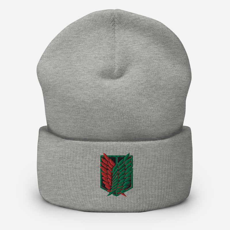 AOT PALESTINE Beanie