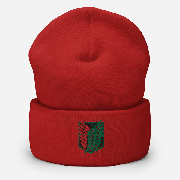 AOT PALESTINE Beanie