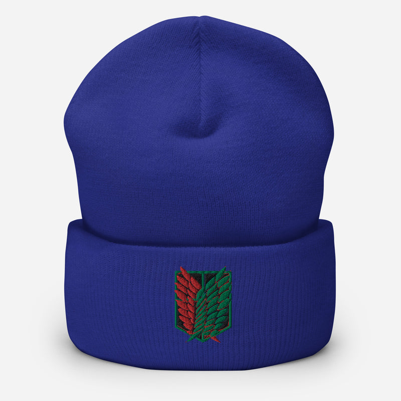 AOT PALESTINE Beanie