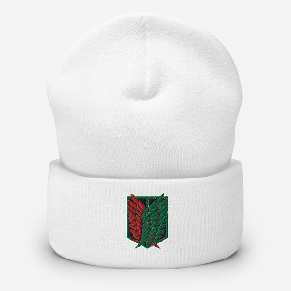 AOT PALESTINE Beanie